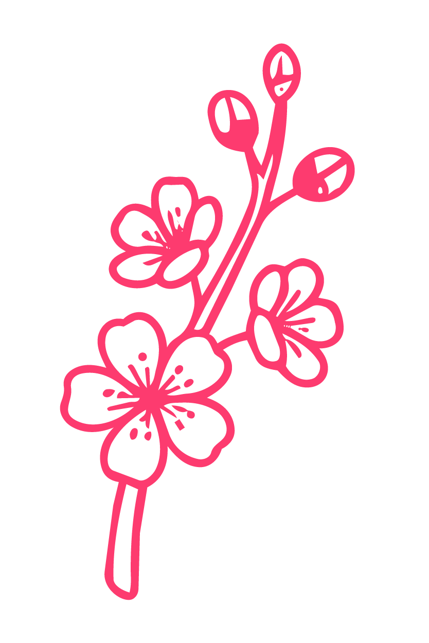 icon 13 01