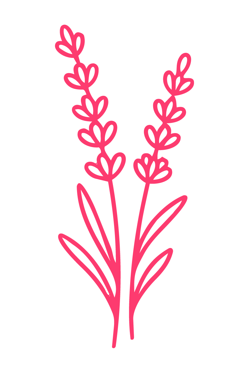 icon 6 01